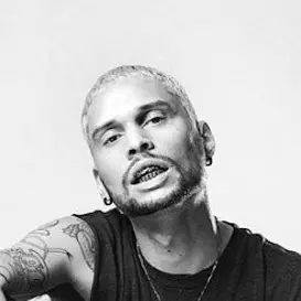 Unge Ferrari net worth