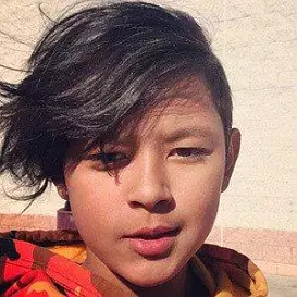 Gavin Westenberg net worth