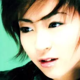 Hikaru Utada net worth