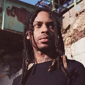 Valee net worth