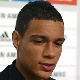 Gregory van der Wiel net worth