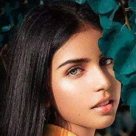 Geyli Vargas net worth