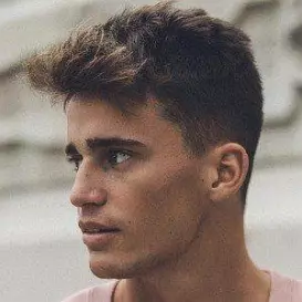 Albert Vicente net worth