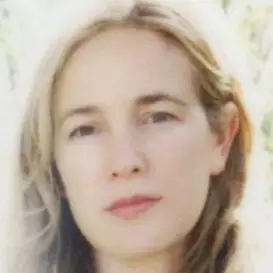 Vendela Vida net worth