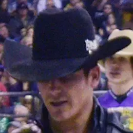 Fabiano Vieira net worth