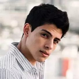 Alberto Villarreal net worth