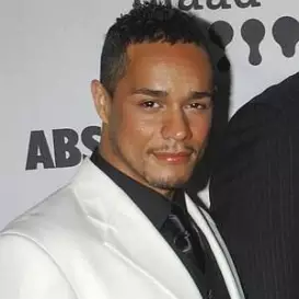 Christian Vincent net worth