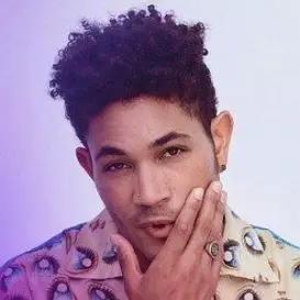 Bryce Vine net worth