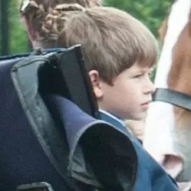 James Viscount-severn net worth