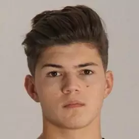 Vincent Visser net worth