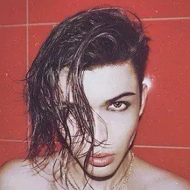 Hugo Vitali net worth