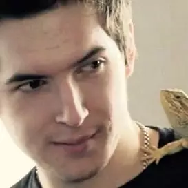 Aleksandr Vitaly net worth