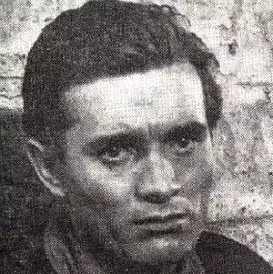 Antun Vrdoljak net worth