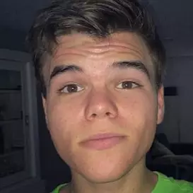 Jelle Van Vucht net worth