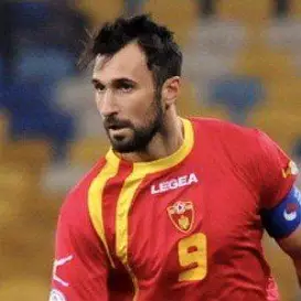 Mirko Vucinic net worth