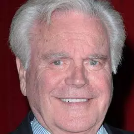 Robert Wagner net worth