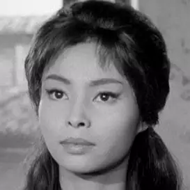 Akiko Wakabayashi net worth