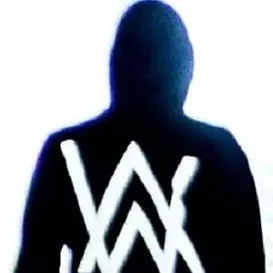 Alan Walker net worth