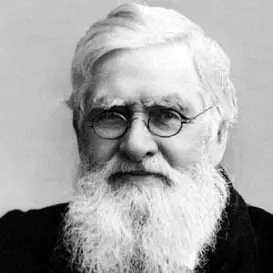 Alfred Russel Wallace net worth