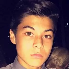 Nic Wallace net worth