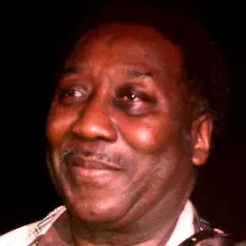 Muddy Waters net worth