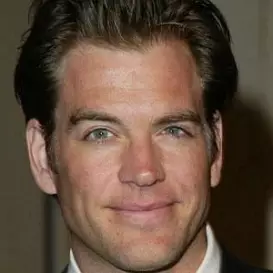 Michael Weatherly net worth