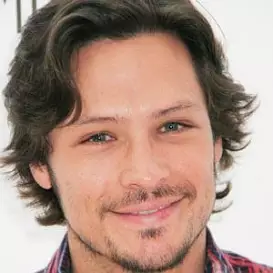 Nick Wechsler net worth