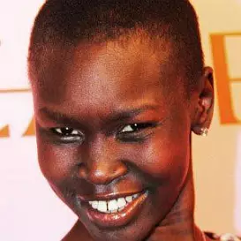 Alek Wek net worth