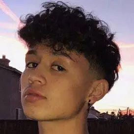 Brandon Westenberg net worth