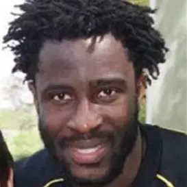 Bony Wilfried net worth