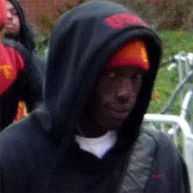 Damian Williams net worth