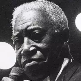 Joe Williams net worth