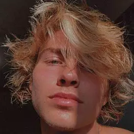 Josh Williams net worth