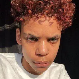 Kirie Williams net worth