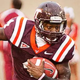 David Wilson net worth