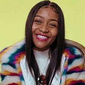 Domo Wilson net worth