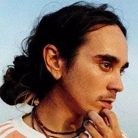 Dakota Wint net worth