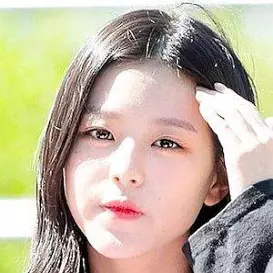 Jang Won-young net worth