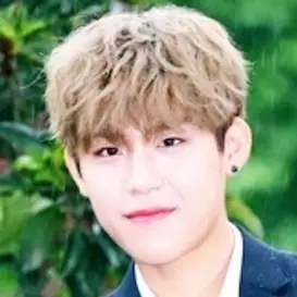 Park Woo Jin net worth