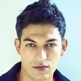 Alexander Wraith net worth