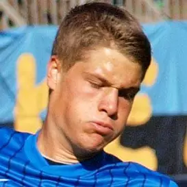 Johannes Wurtz net worth