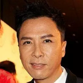 Donnie Yen net worth