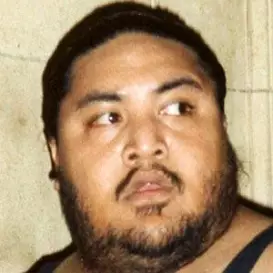 Yokozuna net worth