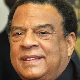 Andrew Young net worth