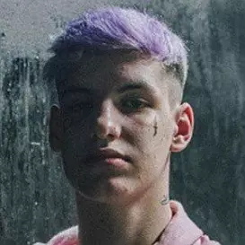 Young Mirko net worth