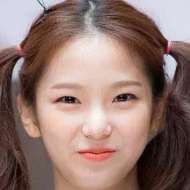 Choi Yu-jin net worth