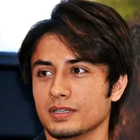 Ali Zafar net worth