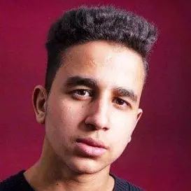 Hamza Zaidi net worth