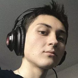 Dmitry Zaitsev net worth