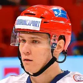 Nikita Zaitsev net worth